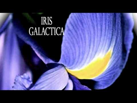 ALEX MAYER - IRIS GALACTICA EP