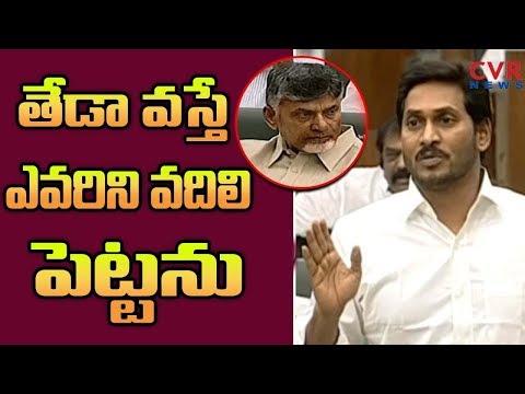 AP CM YS Jagan Super Speech in Assembly 