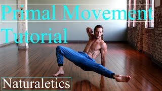 Learn How To Flow: Locomotion, Animal Flow, Primal Movement