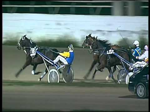 Trotto 17/12/2015 - 7° corsa