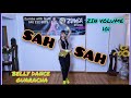 ZIN VOL 101 SAH SAH ZIN VOL 101 ZUMBA REMIX BELLY DANCE NANCY AJRAM GUARACHA ZIN 101