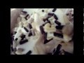 Adventure Time Wmv