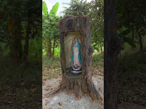 señal para invertir  en tu lote campestre en Guamo, Tolima.