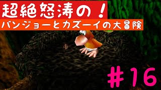 超絶怒涛の！バンジョーとカズーイの大冒険　実況　16