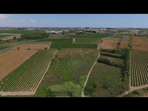 Terrains Angelotti Colombiers - Les Clauzets - Hérault 34