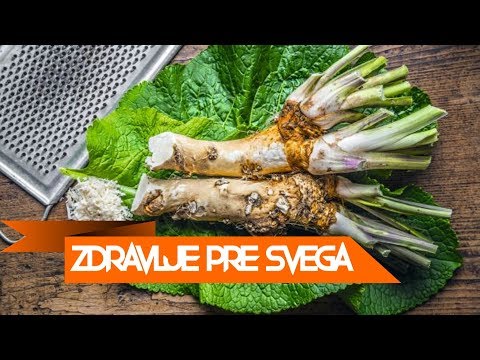 KOREN RENA SPREČAVA RAK I PROPADANJE KOSTIJU, SKIDA KILOGRAME, PODSTIČE IMUNITET, SNIŽAVA KRVNI PRIT