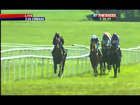 Tattersalls Gold Cup 2012