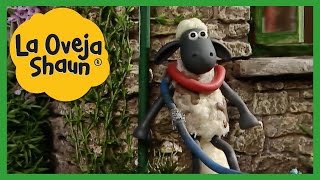 Temporada 1 Compilación 10 - Dibujos animados para niños - La Oveja Shaun