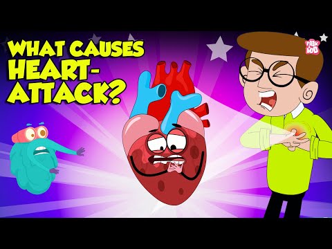 What Causes Heart Attack? | How to Keep Your Heart Healthy? | Heart Attack Signs and Symptoms