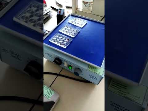 VDRL plates in an orbital shaker