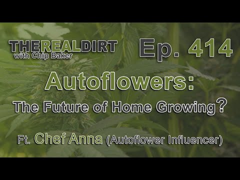 Autoflowers: The Future of Home Growing? [Ft. Chef Anna with the Pot]