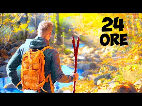 Surviving 24 Hours in a Snowy Forest | No Food Challenge by VANZAI CUCINANDO