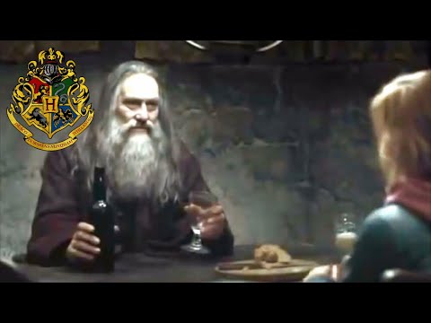 Harry Potter: “Aberforth Meets Harry, Ron, & Hermione” (Deleted / Extended Scenes)