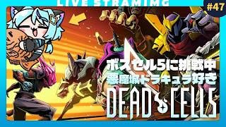 【Dead Cells】ボスセル5クリア目前！L武器出てもなお道中は安定せず🦈｜47日目