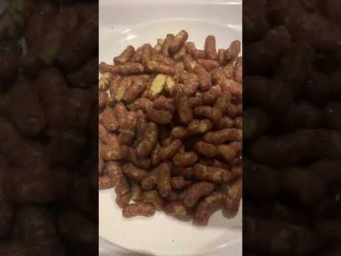 Super Yummy Satisfying ASMR Moby Crunchy Chocolate Snacks #shorts #delicious #yummy #satisfying