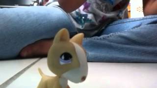 Lps - Fred Figglehorn the babysitters a vampire