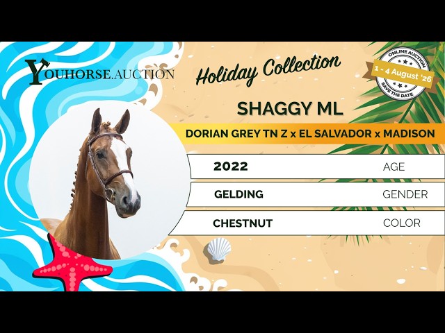 Shaggy ML