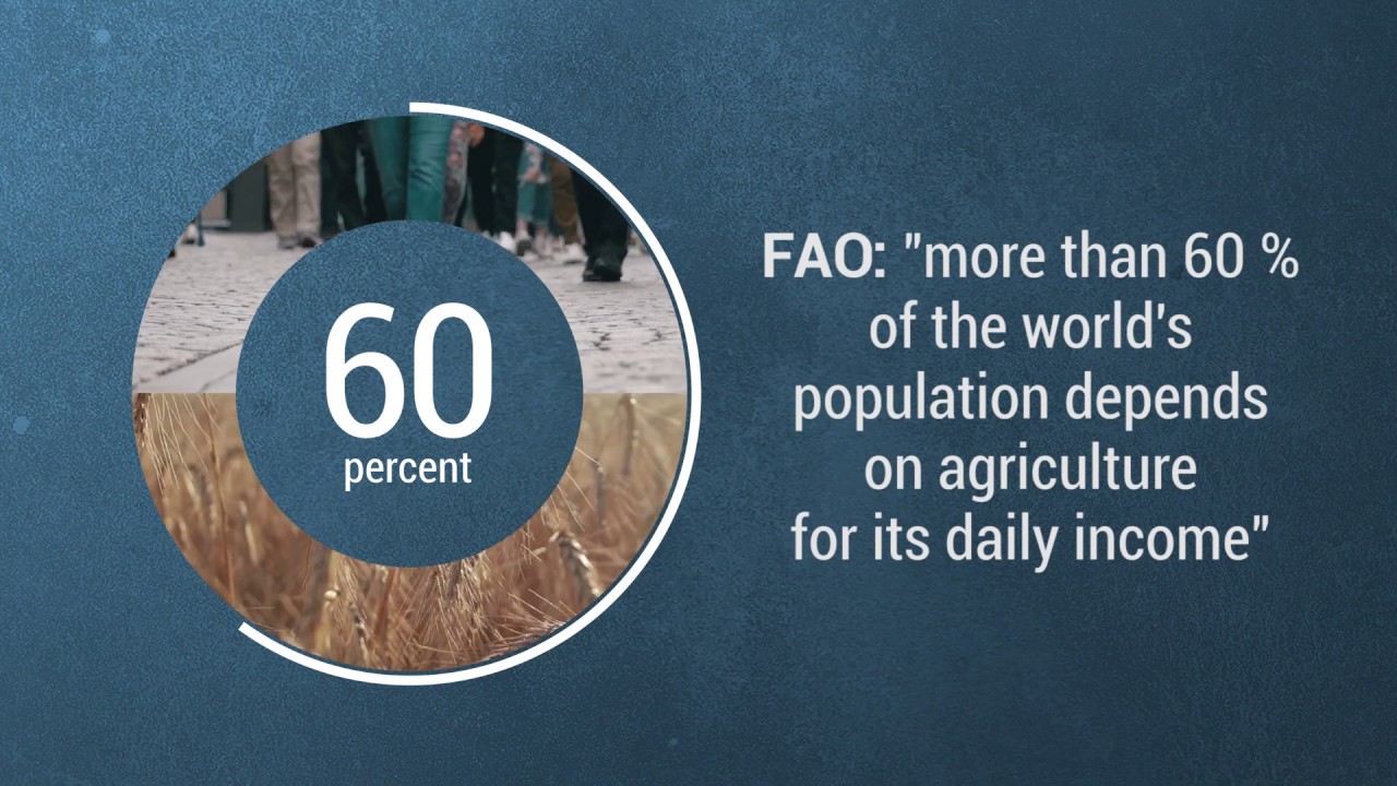 What are the health and environmental benefits of sustainable farming?