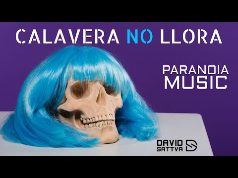 David Sattva - Calavera No Llora (Original Mix)