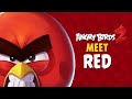 Angry Birds 2 Meet Red Leader Of The Flock