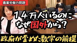 【農業・移民問題】国内に14万人の新規就農者がいるのに外国人を増やす理由参政党・杉本純子が政府の前提を崩した質疑
