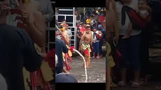 Download lagu story wa jaranan reog gagak rimang tegalmelik, reog turonggo mudo laras setro, reog TML #shorts mp3