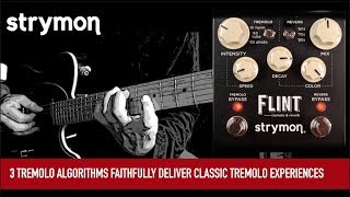 Video thumbnail for Strymon Flint by Mike Hermans