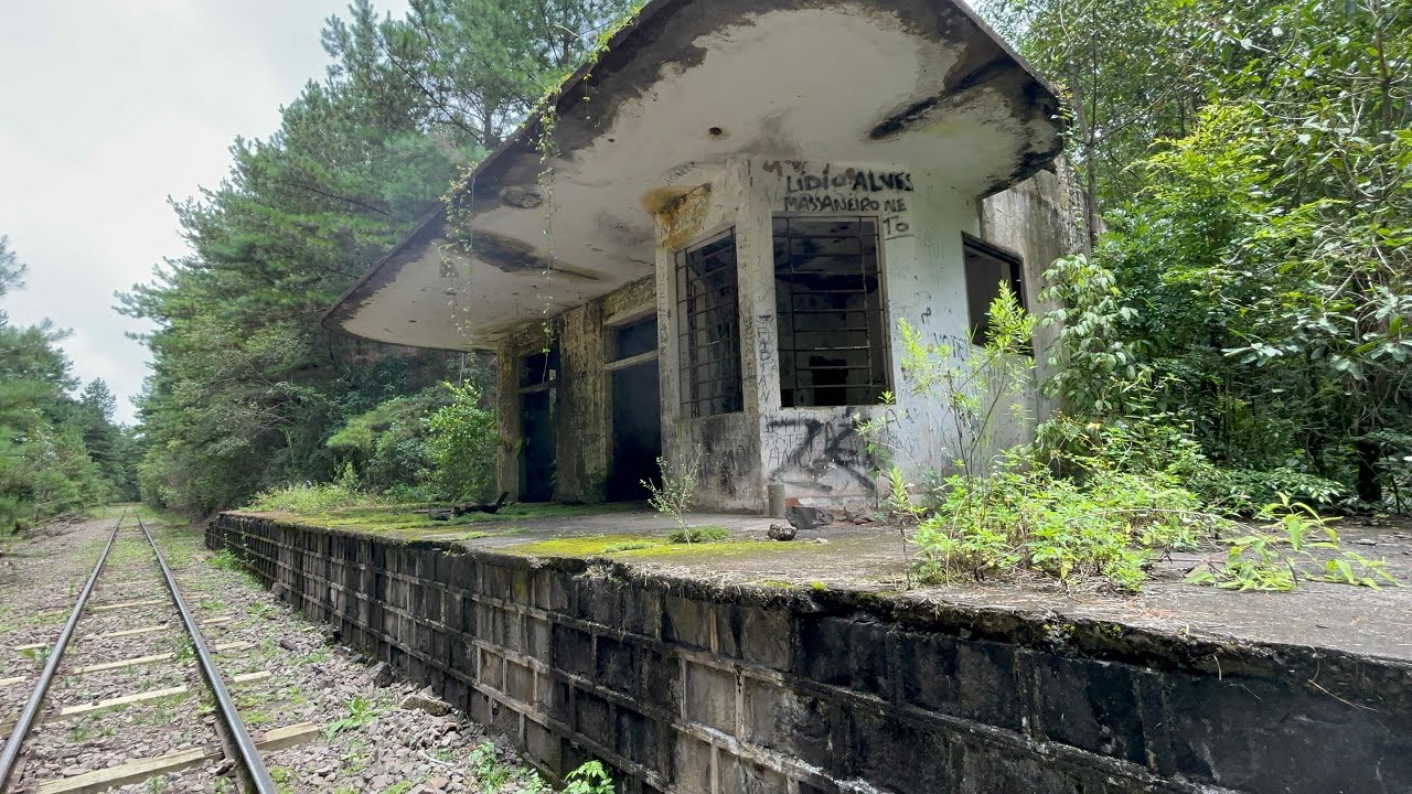 TUDO ABANDONADO NO MEIO DO MATO -