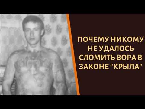 Почему никому не удалось сломить вора в законе 'Крыла'