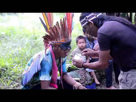 Huni Kawa Shamanic School, Acre Brazil