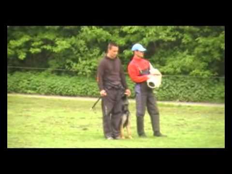 EXTREME OREX Aykmar - defence - 23 months, helper: Martin Uricar