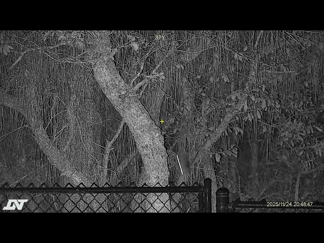 Judge.me YouTube video placeholder