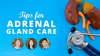 Tips for Adrenal Gland Care