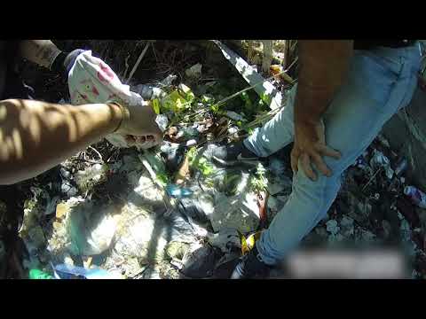 Siete detenidos en el marco de la Operación Lomas