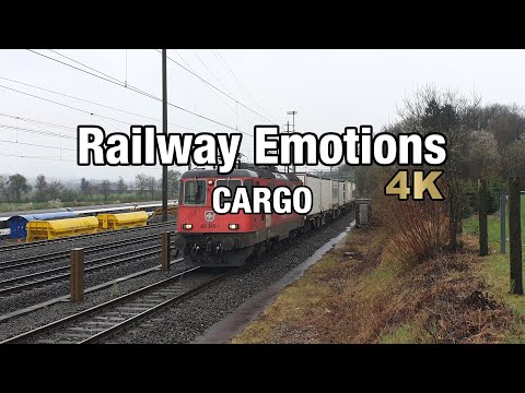 🚆 4K Cargo Führerstandsmitfahrt direkt ins Hauptquartier (Schweiz | Wangen bei Olten - Hunzenschwil)