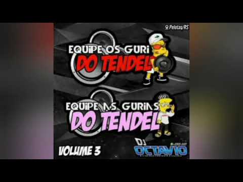 EQUIPE OS GURI & AS GURIAS DO TENDEL (VOLUME 03) - DJ OCTAVIO RS