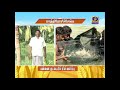 PON VILAIYUM BHOOMI SUCCESSFUL FARMER STORY 07 02 2020