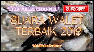 Download lagu SUARA WALET TERBAIK 2019 mp3 Download lagu SUARA WALET TERBAIK 2019 mp3