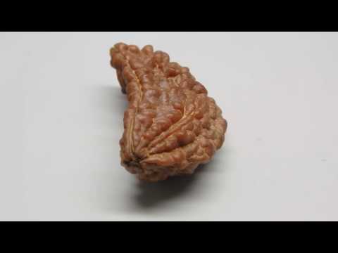 RD31638 GJSPC LABORATORY