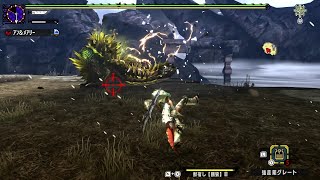 【MHXX】金雷公ジンオウガ超特殊許可　ソロブシドー双剣