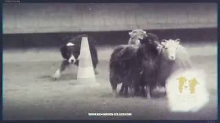 Neuer Youtube Videotrailer online