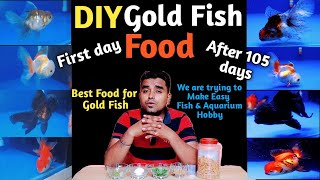 How to Make Gold Fish Food || DIY Gold Fish Food || Best Food for Gold Fish || home made Fish Food