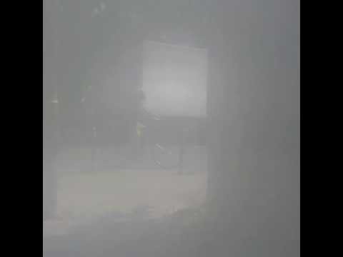 Wermonster - How You´ve Changed