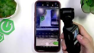 DJI Osmo Pocket 4 — DJI Mimo Canlı Görünüm Nasıl Açılır
