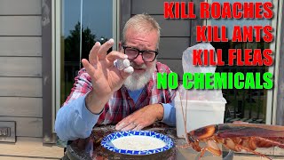 Kill ROACHES Naturally | Easy SECRET | Trick No Chemicals