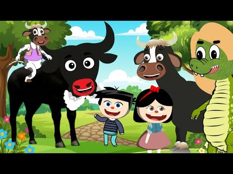 🎵 Boi da Cara Preta e As Músicas Mais Divertidas – 1 hora de Alegria Infantil!