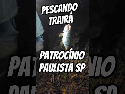 Pescando Traíra na represa do Bairro do Lago em Patrocínio Paulista #interior #pesca