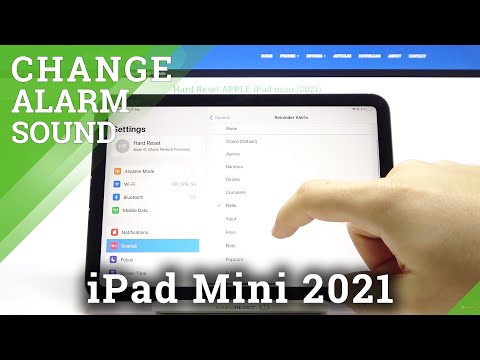 Reminder Alerts on iPad Mini (2021) - Open & Listen to all APPLE Reminders