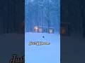 Tiny Home Mountain Cabin           #offgrid #snowstorm #cabin