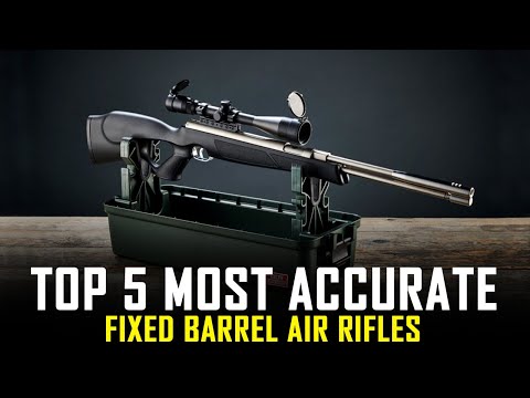 Top 5 Most Accurate Fixed Barrel Air Rifles of 2025 - Best Springer Air Rifles